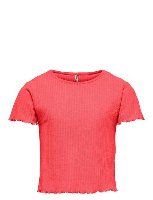 Kids Only | Konnella S/S O-Neck Top Jrs | 158-164