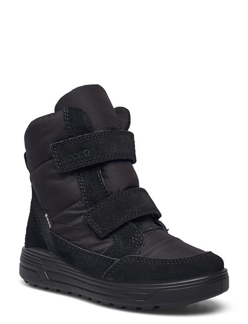 ECCO | Urban Snowboarder | 29