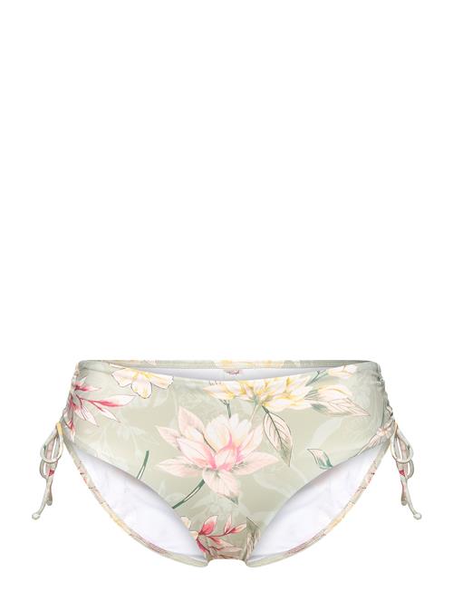 Triumph | Botanical Leaf Midi | 36