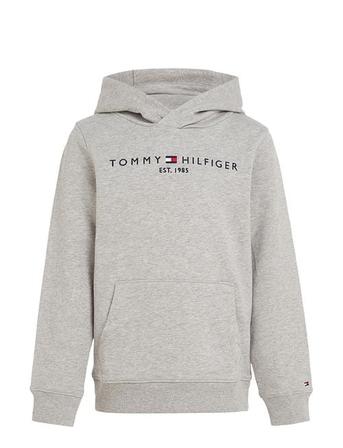 Tommy Hilfiger | Essential Hoodie | 74