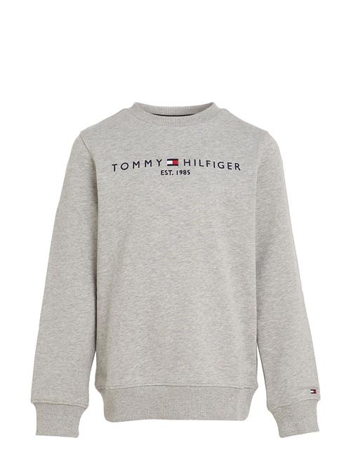 Tommy Hilfiger | Essential Sweatshirt | 152