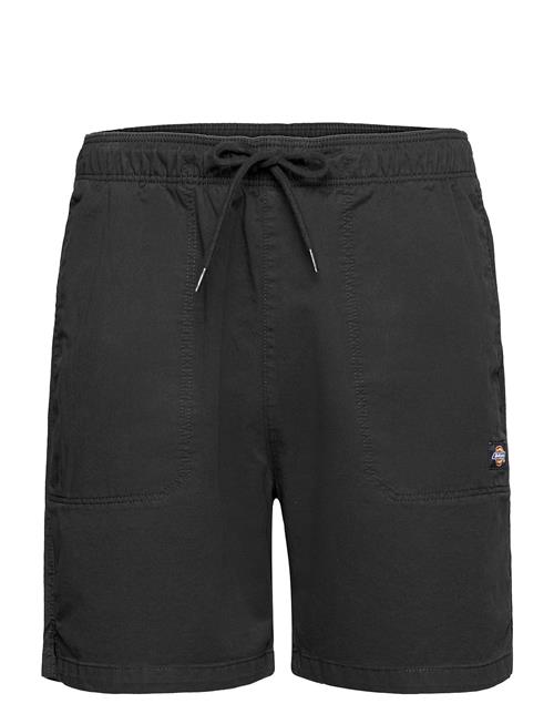 Dickies | Pelican Rapids | XL