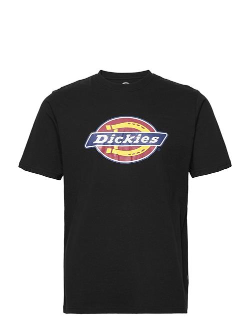 Dickies | Icon Logo Tee | S