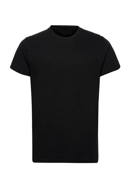 Revolution | Regular Fit Round Neck T-Shirt | XXL