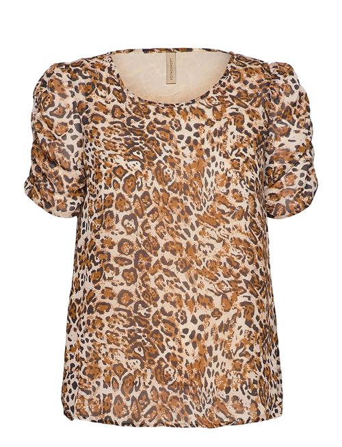 Soyaconcept | Sc-Raben | S