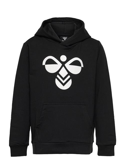 Hummel | Hmlcuatro Hoodie | 116
