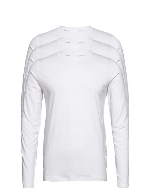 Lindbergh | 3Pk Basic Tee L/S | XXL