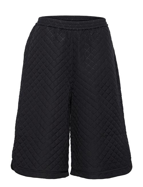 Stella Nova | Fibi | 38