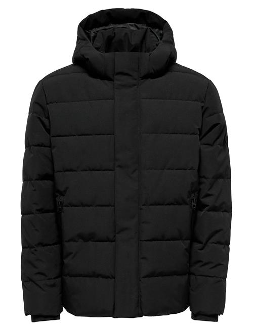 ONLY & SONS | Onscayson Puffa Otw Noos | S