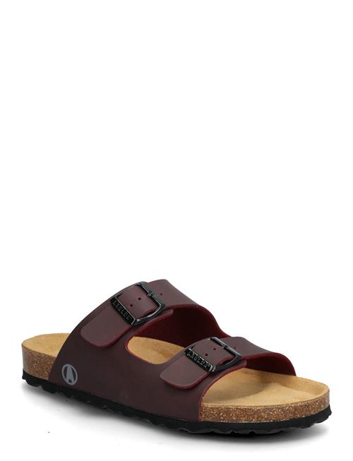 Axelda | Charlie | 41