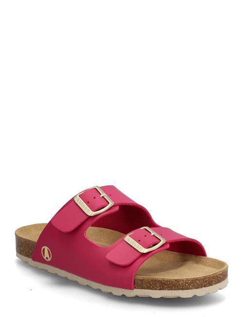 Axelda | Charlie | 40