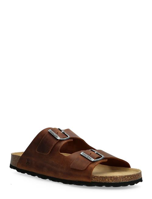 Axelda | Andrea | 37