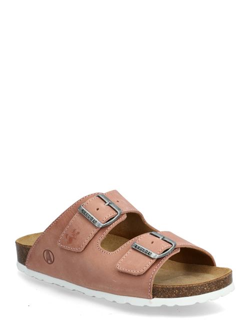 Axelda | Andrea | 36