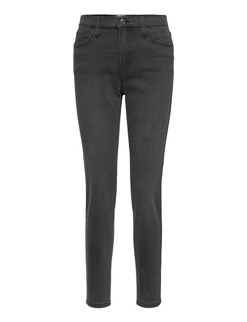 FREE/QUENT | Fqharlow-Je | 31 x 32