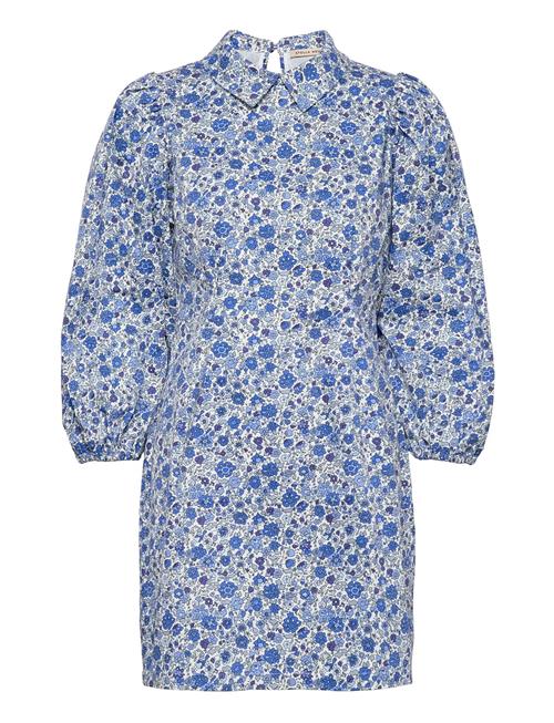 Stella Nova | Aggis My | 40