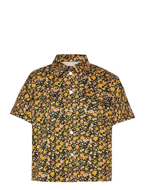 Stella Nova | Helga | 36