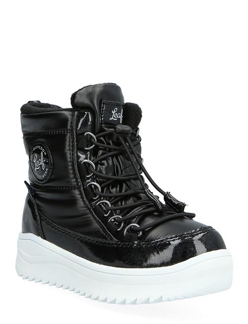 Leaf | Nickby | 28 x 17.9