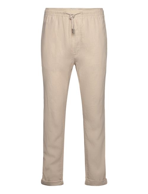 Solid | Sdtaiz Pa | XXL