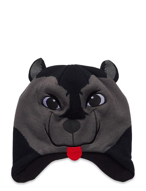 Kombi | Animal Fam Chi Hat | 47-52