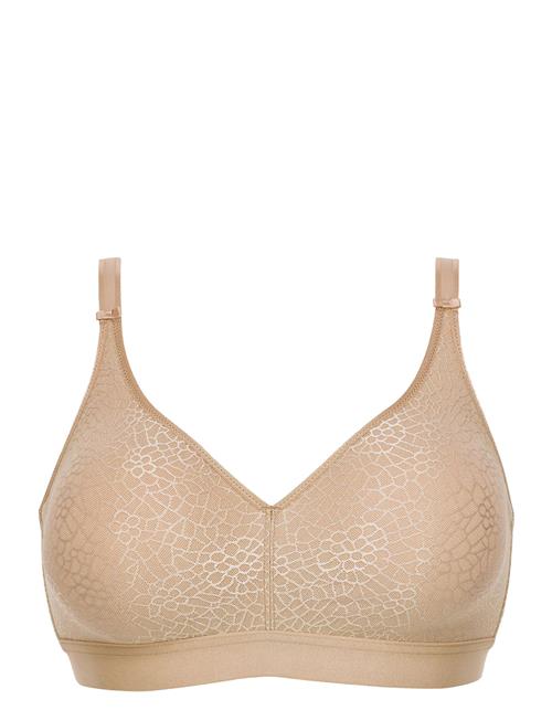 CHANTELLE | C Magnifique | C x 90