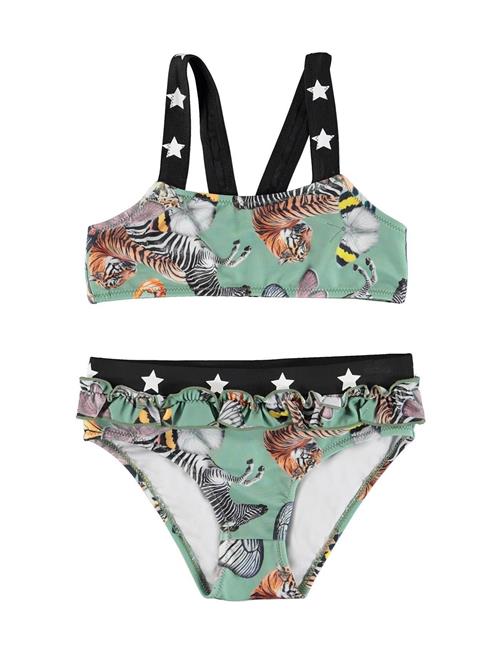 Molo | Naila | 74-80