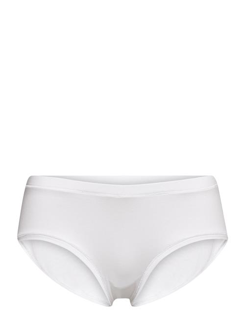 JBS of Denmark | Jbs Of Dk Hipster Cotton | S