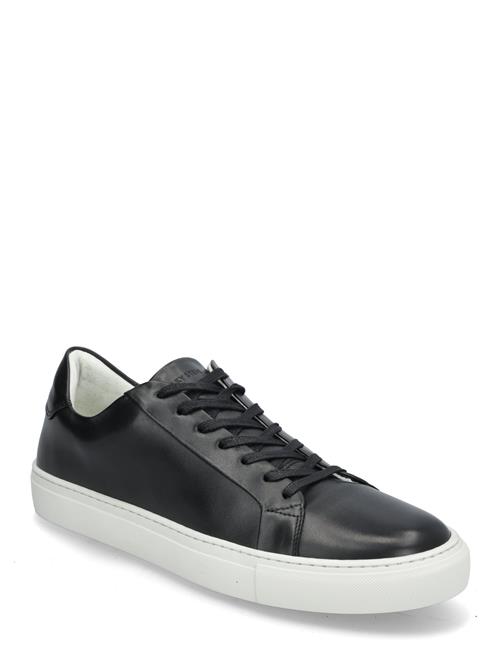 Sneaky Steve | Roony Black | 43