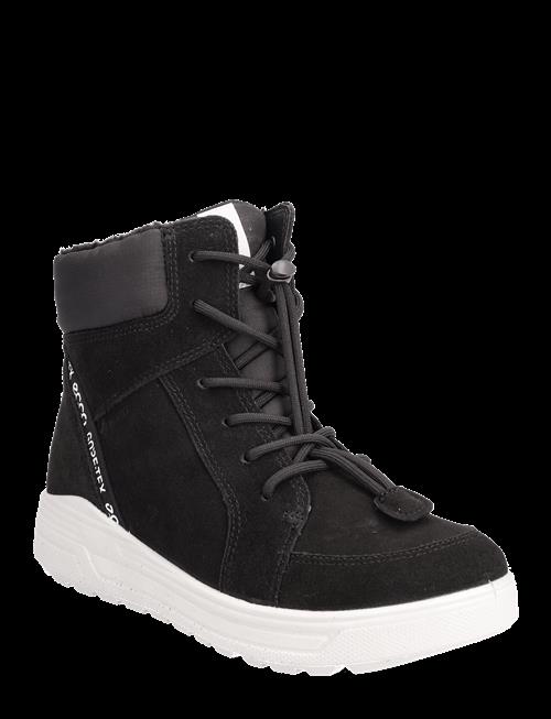 ECCO | Urban Snowboarder