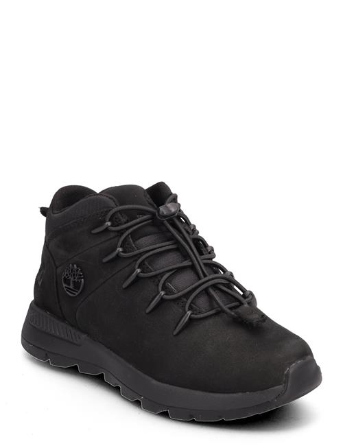 Timberland | Mid Lace Up Sneaker | 31