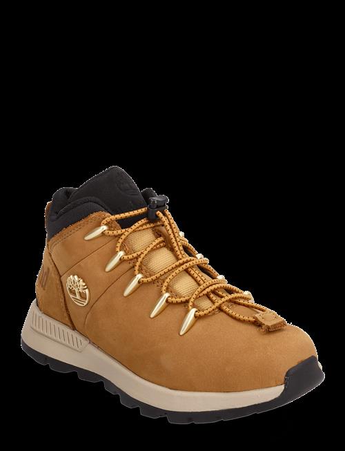 VF Sweden AB / Timberland | Mid Lace Up Sneaker | 35
