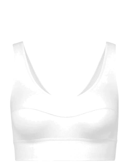 Calida | Elastic  Bustier | S