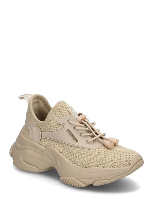 Steve Madden | Jmatch Sneaker | 31