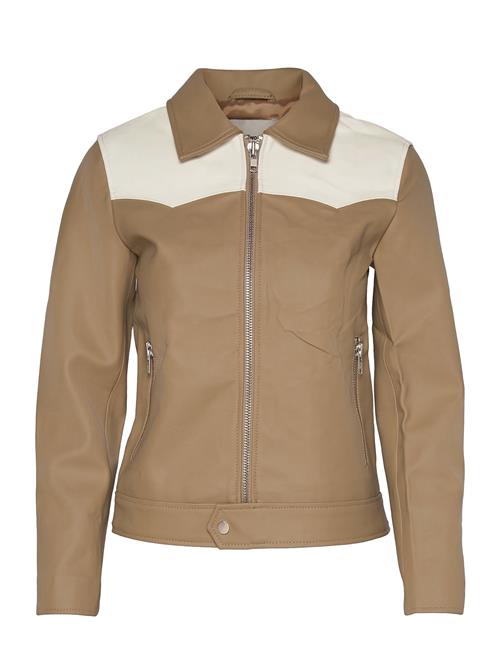 Deadwood | Sharpe Western Cactus | 36