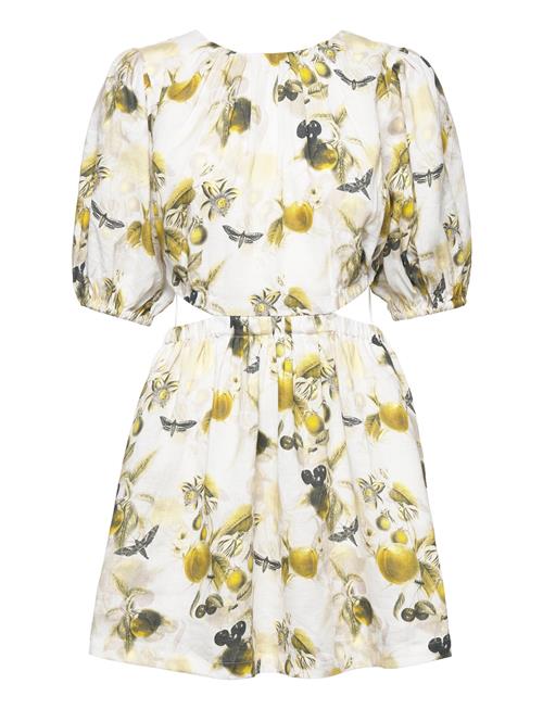 AllSaints | Colette Soleil Dress | 42