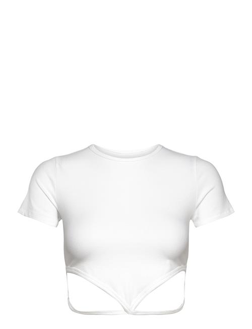 Hollister | Hco. Girls Knits | L