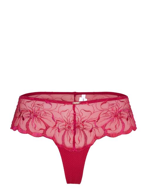 CHANTELLE | Fleurs Revealing Shorty | 38