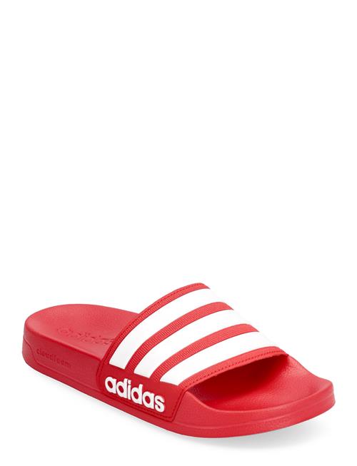 adidas Sportswear | Adilette Shower | 43