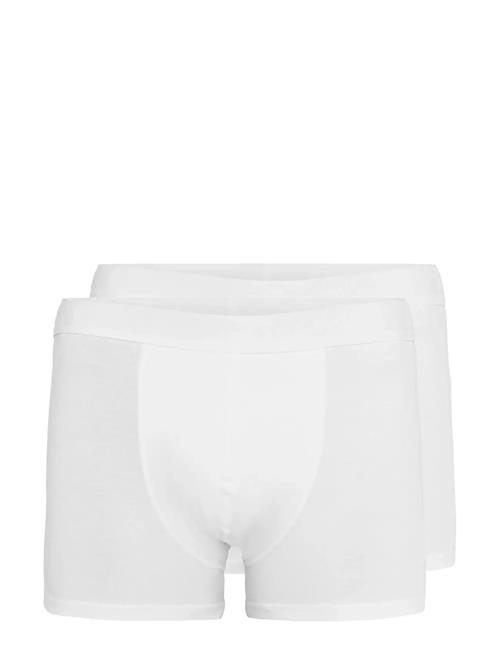 Matinique | N Grant 2-Pack | M