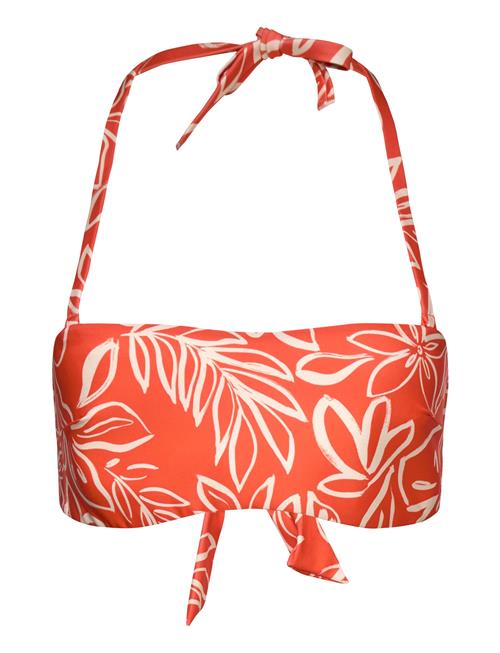 Etam | Taila - Cf Bandeau | 36