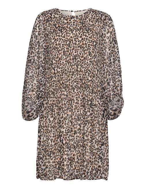 ICHI | Ihnalla Dr | 36