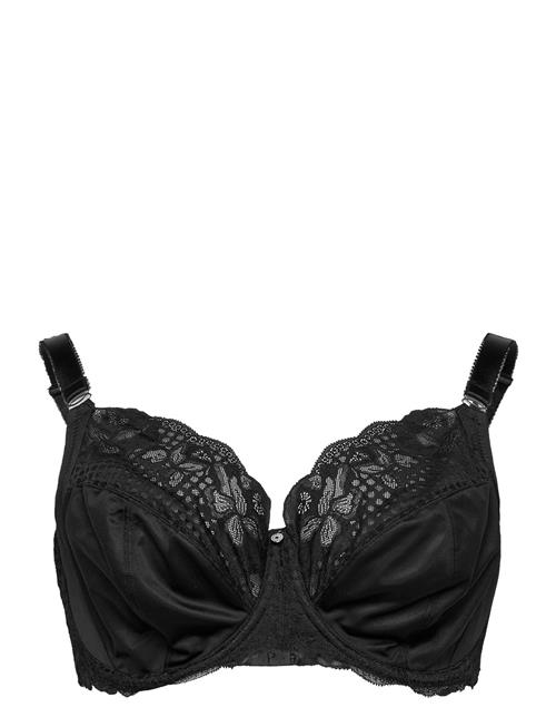 Fantasie | Reflect | G x 75