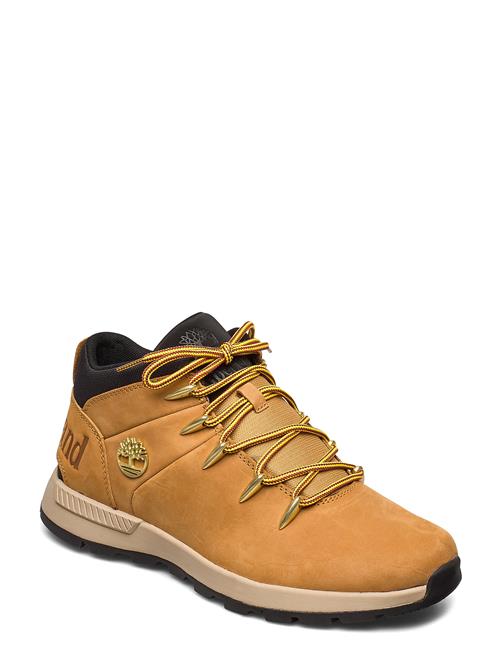 Timberland | Mid Lace Up Sneaker | 41