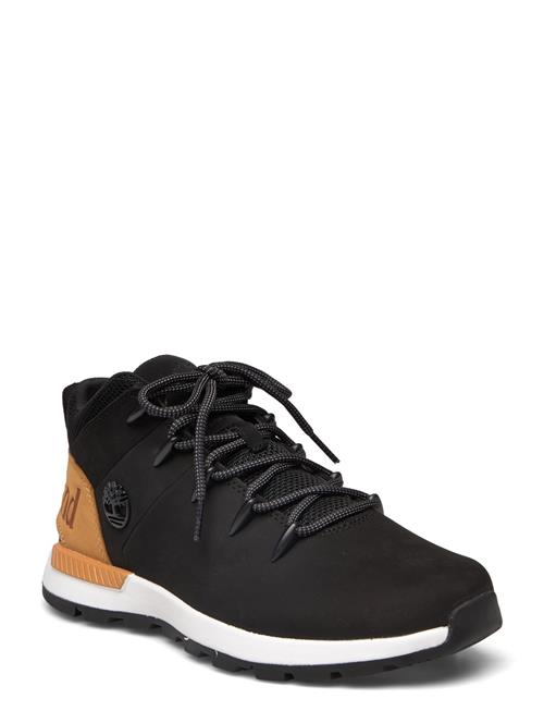 Timberland | Mid Lace Up Sneaker | 41