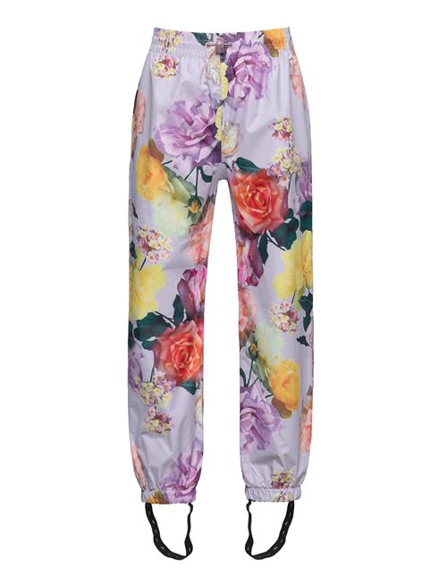 Molo | Waits | 92-98