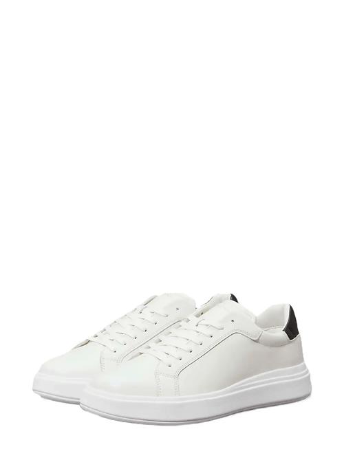 Se Calvin Klein | Low Top Lace Up Lth | 44 x 44 hos Booztlet