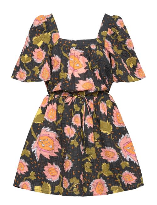 Stella Nova | Petulla | 40