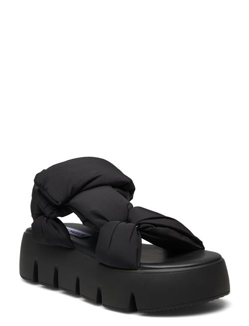 Steve Madden | Bonkers Sandal | 40