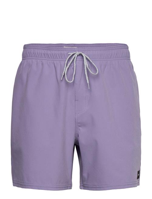 Rip Curl | Daily Volley | M