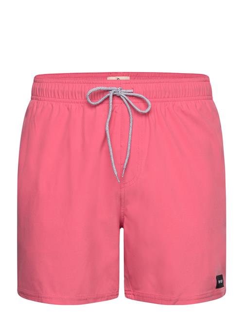 Rip Curl | Daily Volley | XL