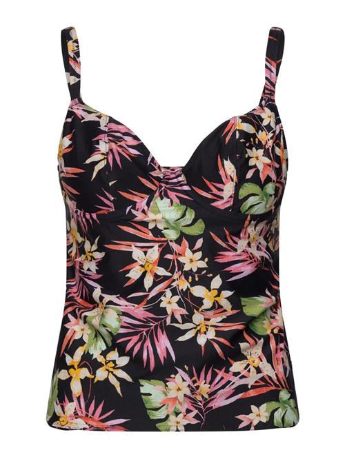 Freya | Savanna Sunset | E x 70